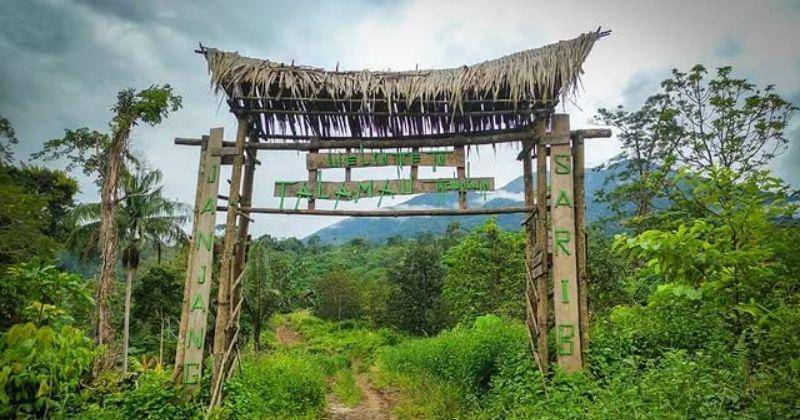 Instagram.com/Janjangsaribu